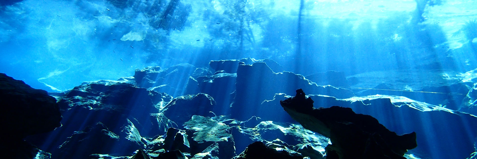 セノーテ　Cenote メキシコの穴場セノーテへ！～Cenote Samula & Cenote Xkeken
